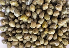 Pablo Ojeda, nutricionista: «Este alimento es un tesoro oculto, tiene un efecto antienvejecimiento y mejora la salud cardiovascular»