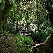 El rincón desconocido de Galicia ideal para hacer senderismo este otoño entre hayedos y cascadas