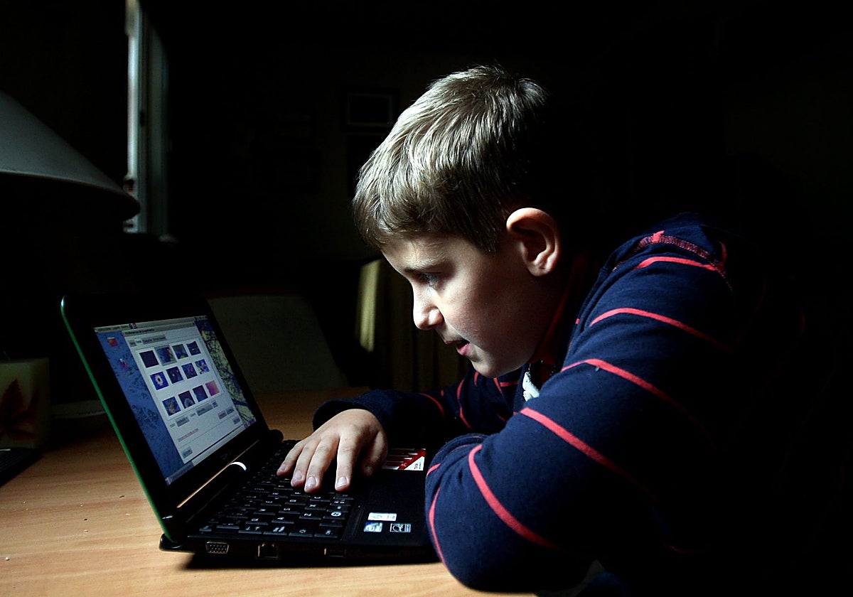 Un adolescente navegando por la red con su ordenador