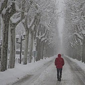Jorge Rey pone fecha a la llegada del frío y las primeras nevadas: «Habrá mínimas por debajo de los cero grados»