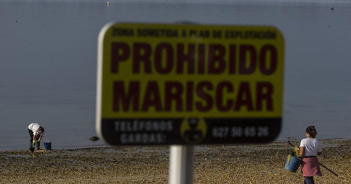 Efectos secundarios del clima en el sector primario