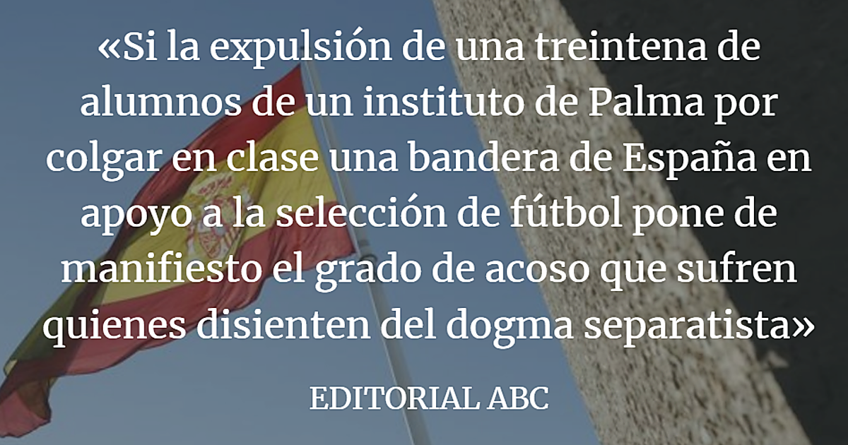 La bandera de España no atenta contra la convivencia