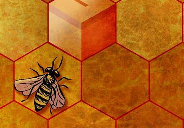 ¿El ocaso de la democracia?