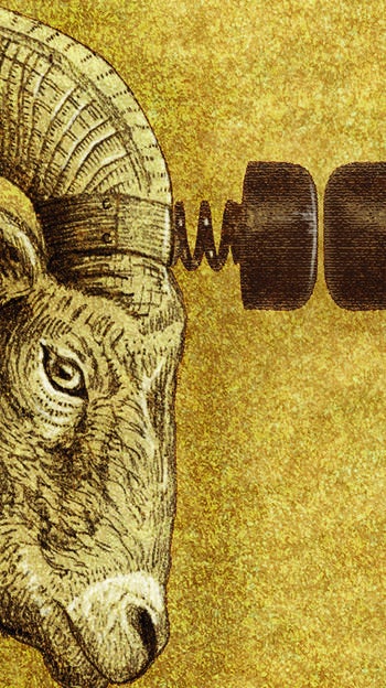 El precio de la democracia