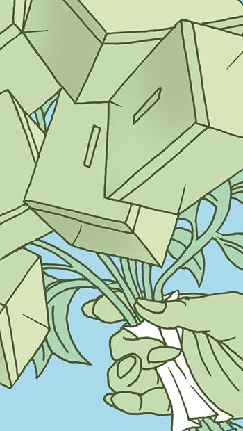 Bobbio y el futuro de la democracia