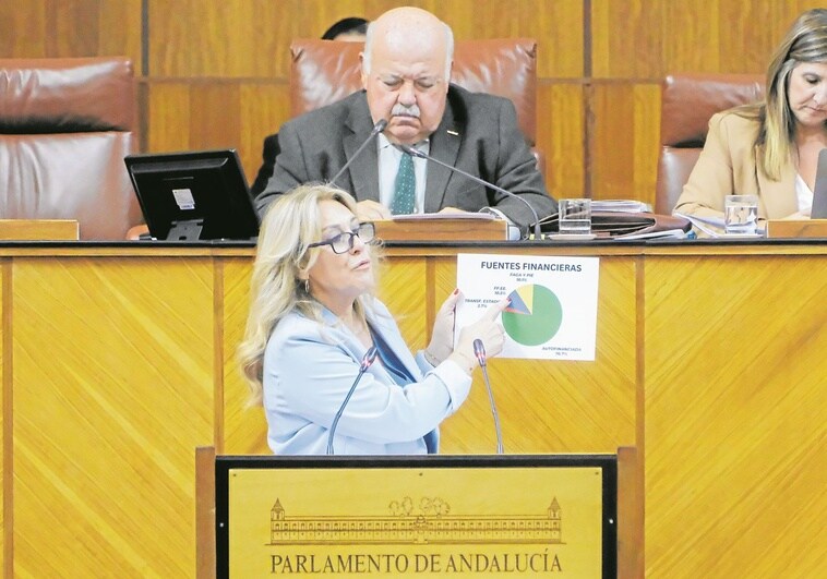 parlamento-andaluz-presidente-RoLIYsEiFmNNJ3QW838a8SL-758x531@diario_abc.jpg