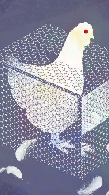 El triunfo de la estupidez