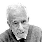 <div class="voc-author__name">SANTIAGO ARAUZ DE ROBLES </div>