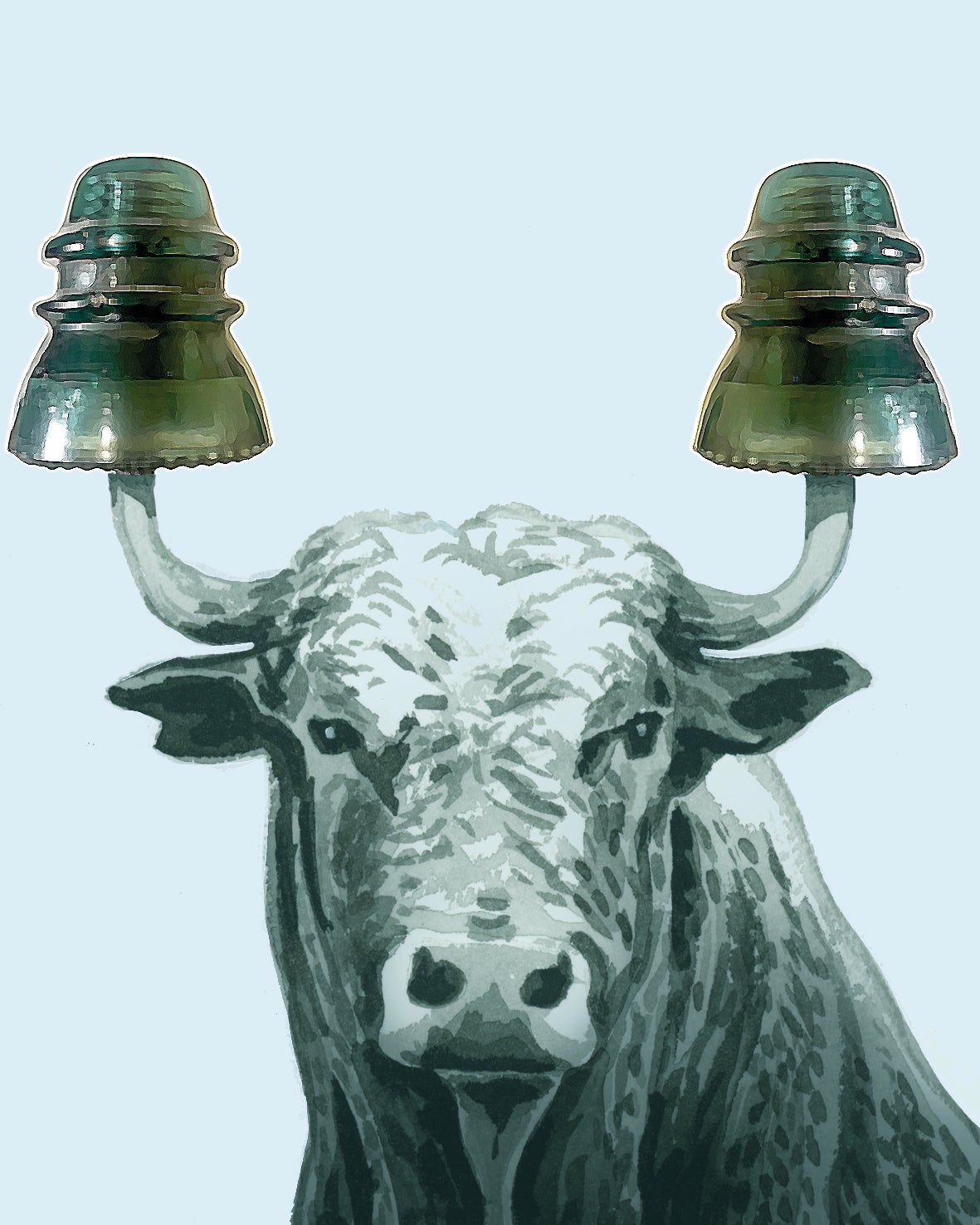 El coste de una política energética sin red