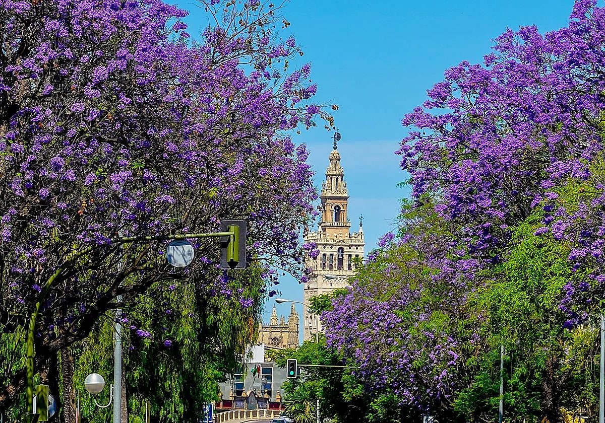 Adiós a la ciudad malvada
