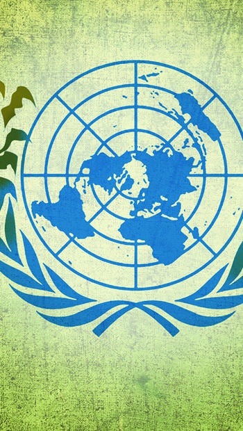 ONU: 80 años en la inoperancia