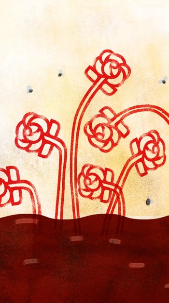 Atrapados en los establos de Augias