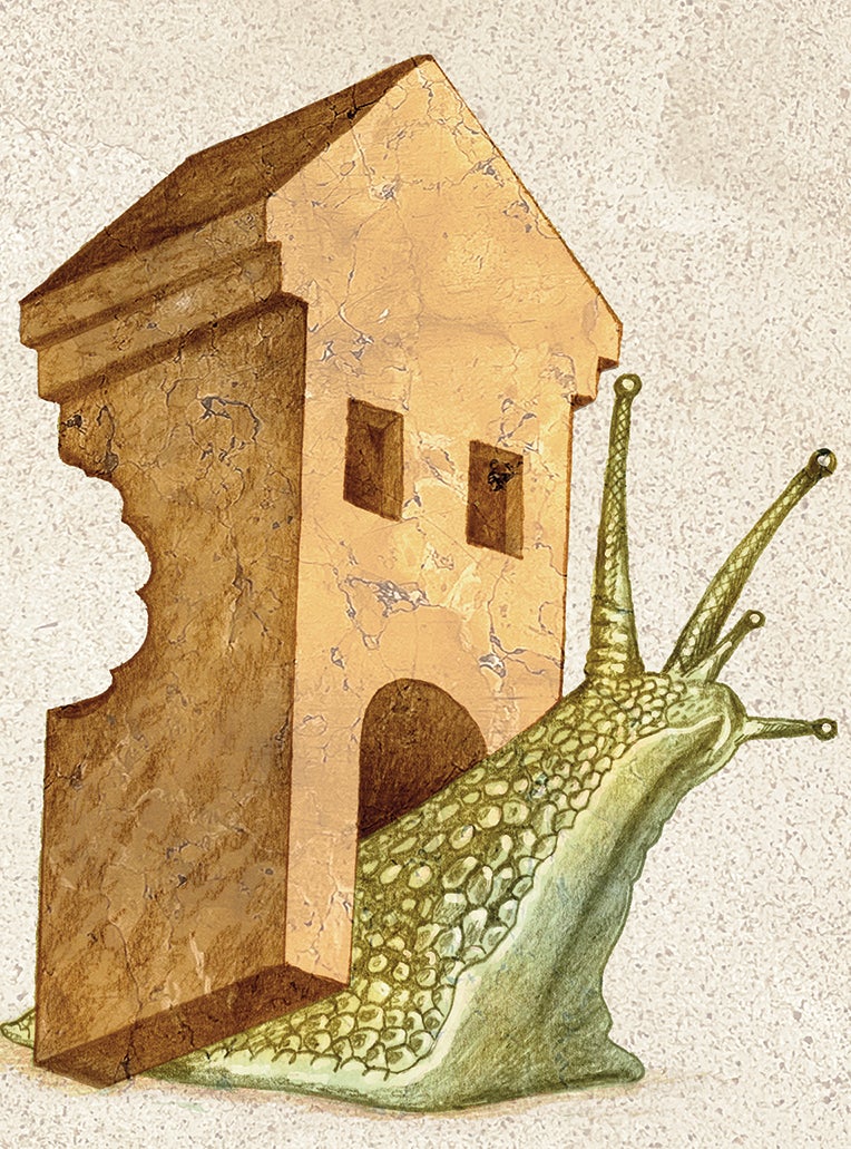 ¿Fiscalidad inconstitucional?