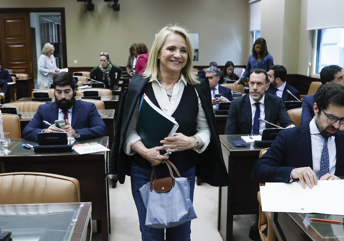 Elena Sánchez, presidenta interina del Consejo de Administración