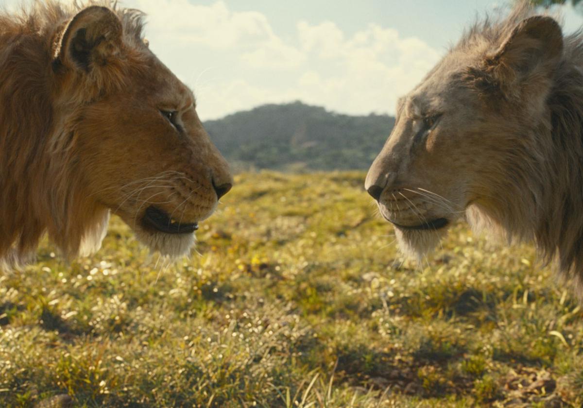 Mufasa y Scar (Taka) en 'Mufasa: El rey león'