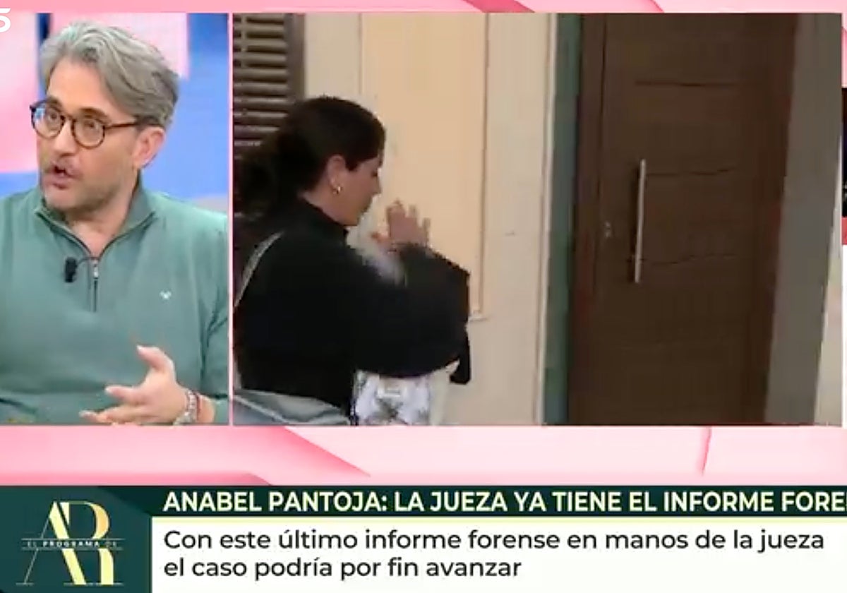 Máximo Huerta ha vaticinado en 'El programa de Ana Rosa' cuál va a ser el futuro de Anabel Pantoja.