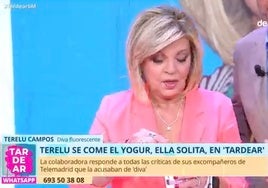 Terelu Campos reaparece en plató para responder a quienes la tachan de 'diva' y no deja títere con cabeza