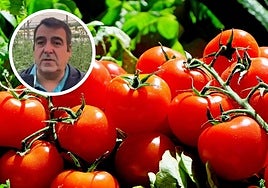Un agricultor español explota contra el acuerdo entre la UE y Marruecos que afecta a productos nacionales como el tomate: «Es competencia desleal»