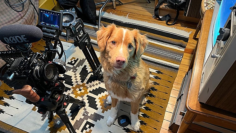 Indy, the protagonist of 'Good boy' on the set of the film