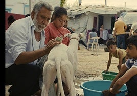 Crítica de 'Ciudad sin sueño' (***): La Cañada Real, hiperrealismo y magia