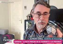 Alfredo Corell, catedrático de Inmunología, sobre la gripe porcina y el contagio a personas: «Las vacunas que hay son muy ineficaces y tampoco están autorizadas en Europa»
