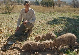 TVE sustituye a Buenafuente por la 'Dra. Fabiola Jones', la veterinaria que se juega la vida con la fauna salvaje