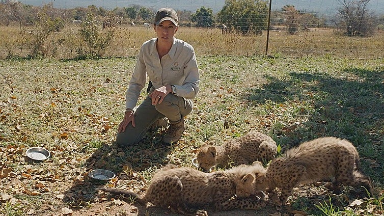 TVE sustituye a Buenafuente por la 'Dra. Fabiola Jones', la veterinaria que se juega la vida con la fauna salvaje