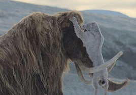 Armadillos gigantes contra mamuts: viaje inédito a la Edad de Hielo