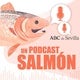 Un podcast salmón | UNEI, firma en la que nueve de cada diez empleados tiene una discapacidad, dispara sus ventas un 140%