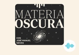 Sorpresa: Las arañas surgieron del mar