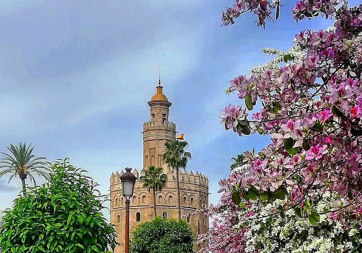 Torre del Oro en primavera