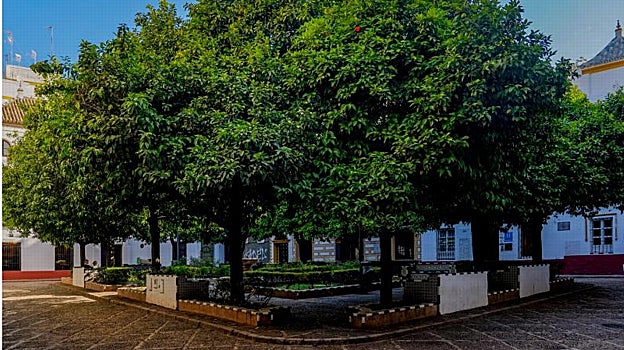 Descubrir la Catedral francesa de Sevilla o el Santa Cruz inventado, rutas turísticas para vivir la ciudad este puente