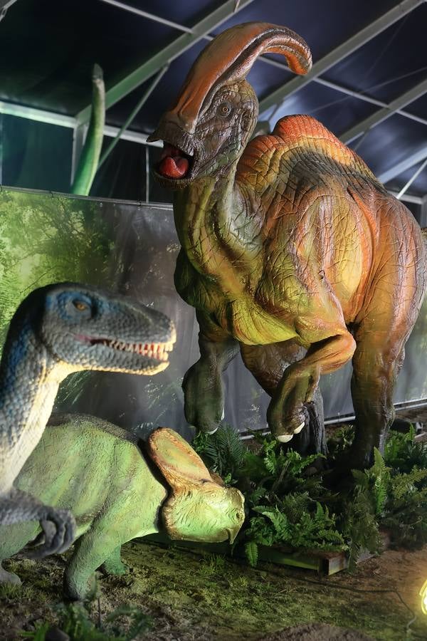 Las figuras a tamaño real y con gran realismo hacen al visitante adentrarse en el mundo de los dinosaurios