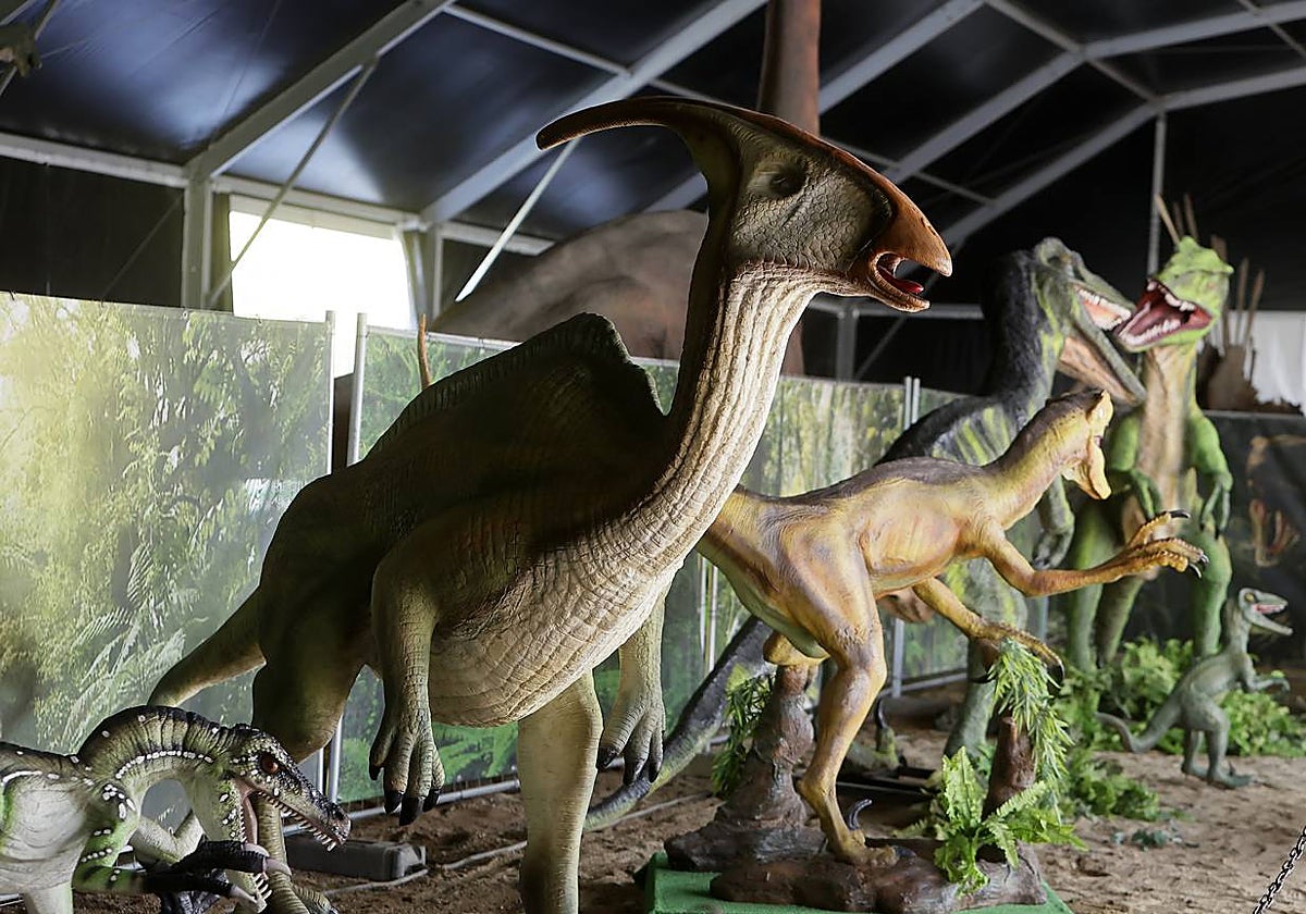 Las figuras a tamaño real y con gran realismo hacen al visitante adentrarse en el mundo de los dinosaurios