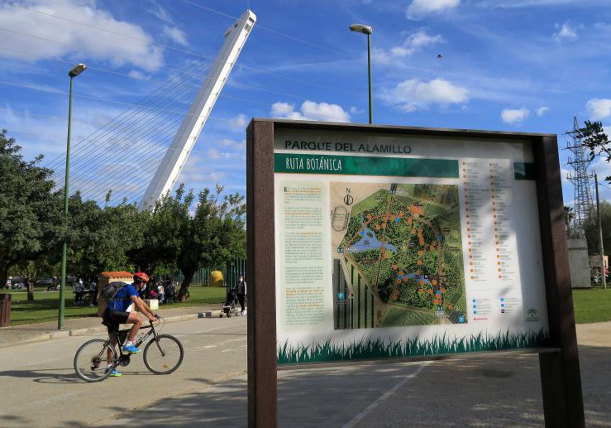 La ruta botánica del Alamillo se puede hacer con guía o por cuenta propia