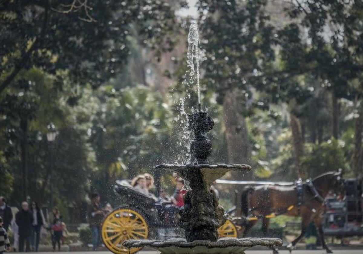 Estanque de los Lotos del Parque de María Luisa de Sevilla