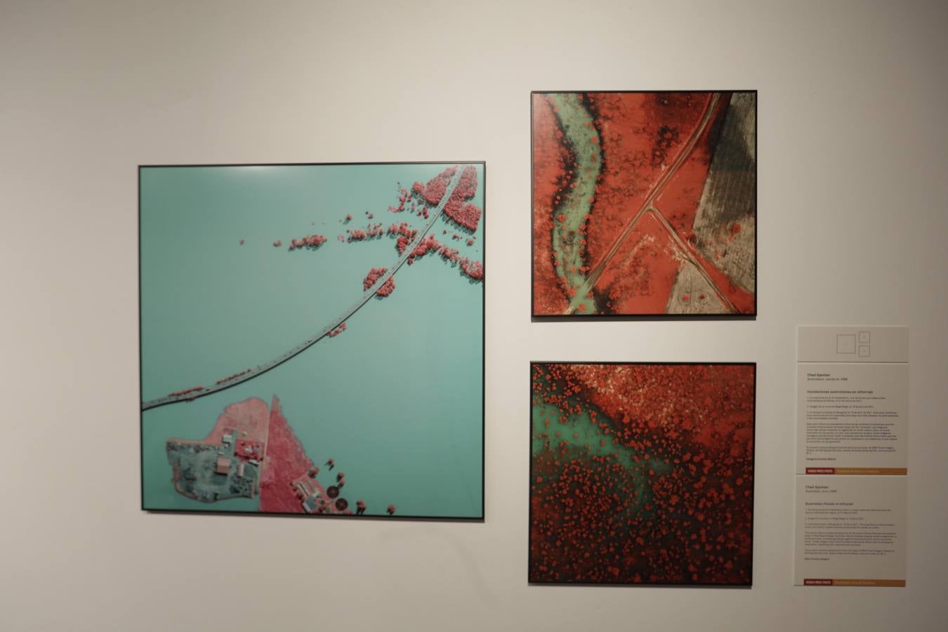 La inauguración de la exposición World Press Photo 2023 en la Fundación Cajasol de Sevilla