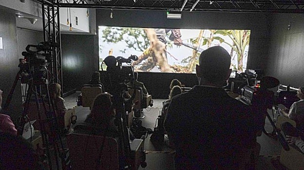 Qué hacer esta semana en Sevilla