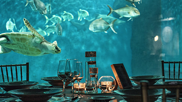 Una de las mesas que la actividad 'EntreMares' ofrece para cenar en el interior del acuario