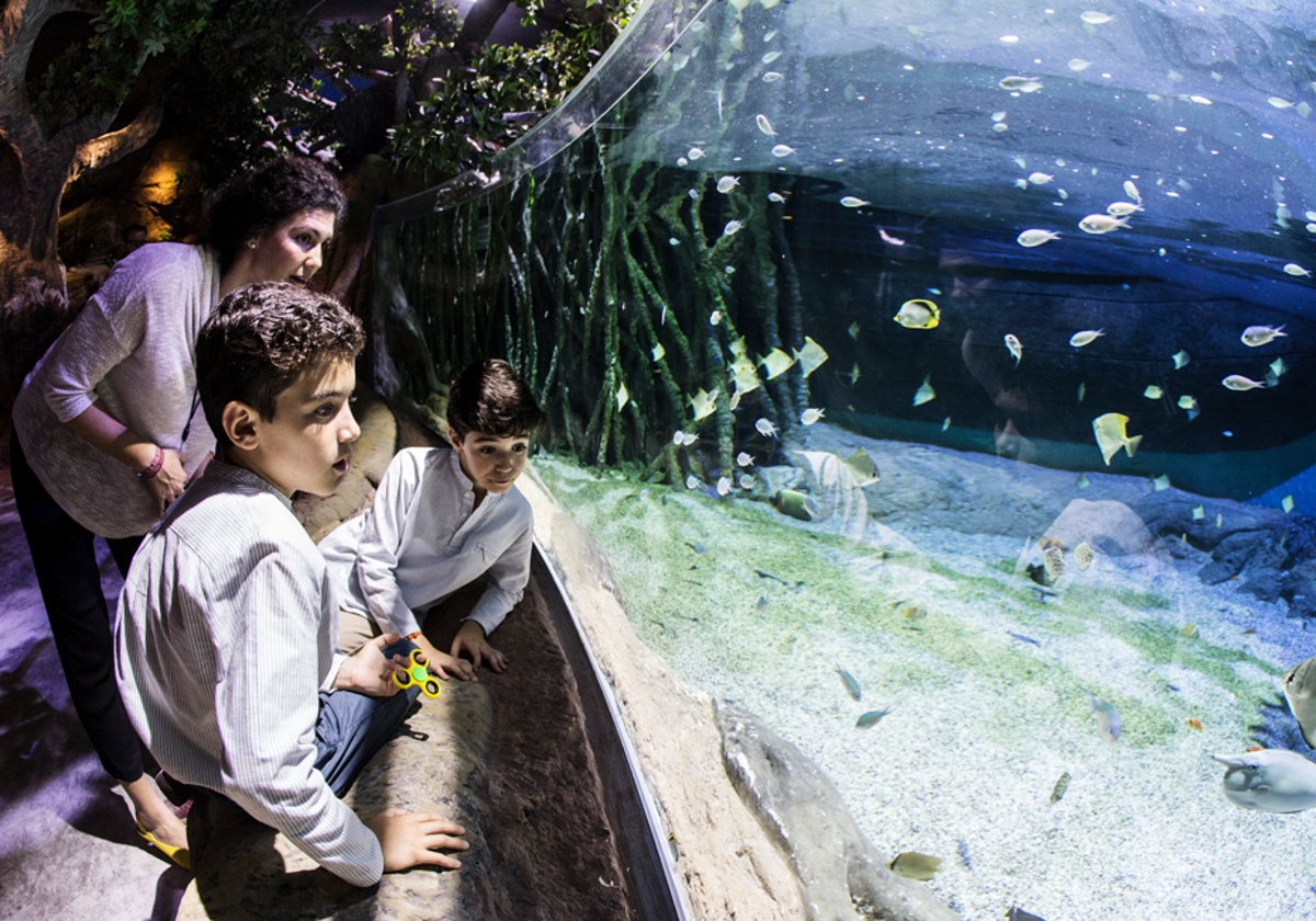 Familia disfrutando del acuario