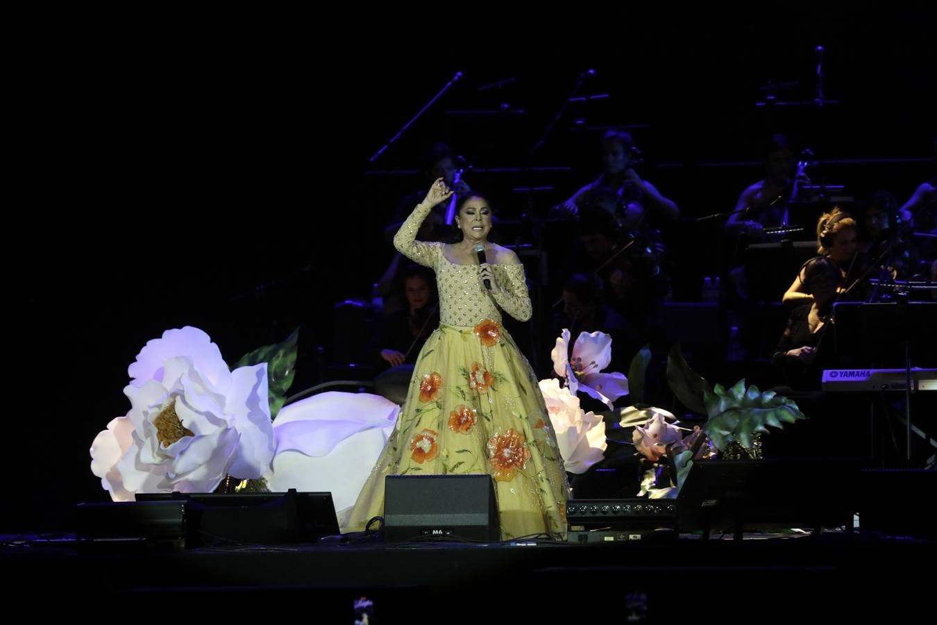 Concierto de Isabel Pantoja en el Estadio de la Cartuja de Sevilla