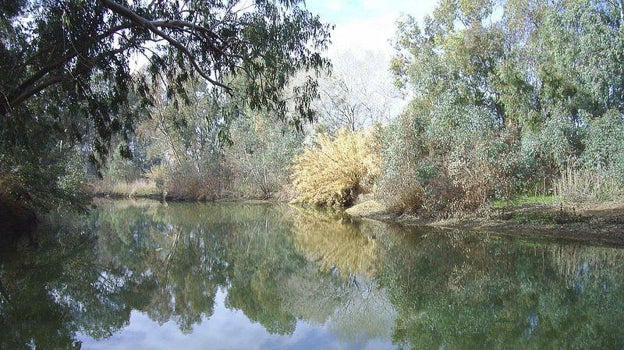 El Corredor Verde del Guadiamar cuenta con frondosos espacios naturales y zonas repletas de agua