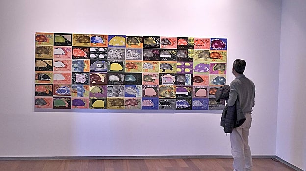 La obra del pintor sevillano Luis Gordillo es protagonista de esta muestra que se encuentra en el Espacio Santa Clara