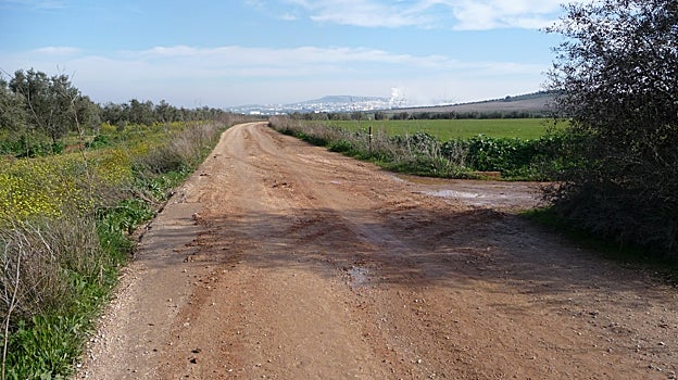 La localidad de Osuna cuenta con una buena conexión con los pueblos de la Sierra Sur sevillana y tiene además varias rutas interesantes