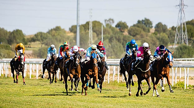 El Gran Hipódromo de Andalucía de Dos Hermanas acoge el 14 de enero una nueva carrera de caballos