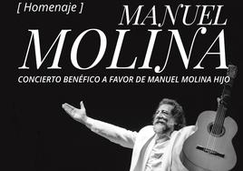 El flamenco de hoy se reúne en Fibes en un concierto benéfico a favor del hijo de Manuel Molina
