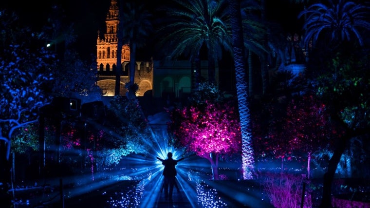 Imagen de Naturaleza Encendida en el Real Alcázar
