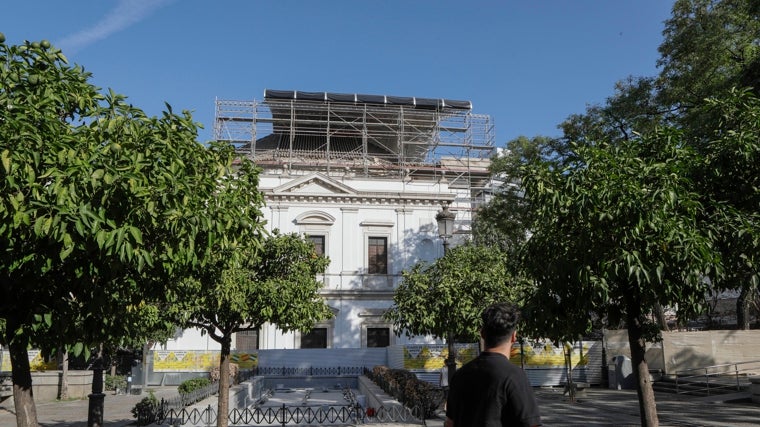 Naranjos de la Plaza de la Concordia