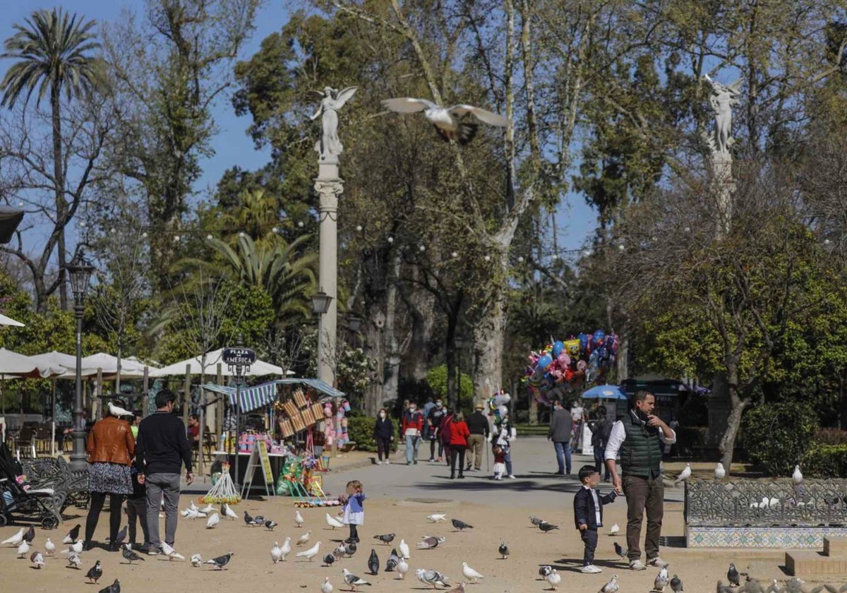 Parque de Las Palomas de la Plaza de América