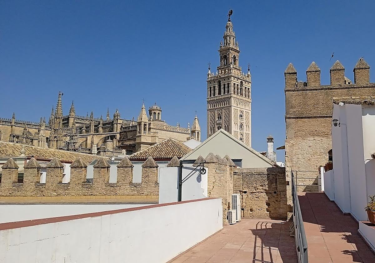 Vistas de la Giralda desde uno de los miradores más desconocidos de Sevilla